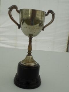 The Ngati Toa Cup