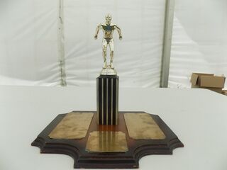 Hawkes Bay Harbour Board Trophy