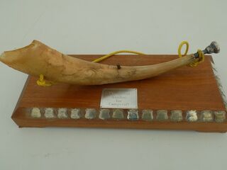 The Tainui Koodoo