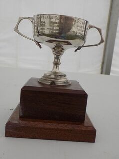 The Nelson Cup